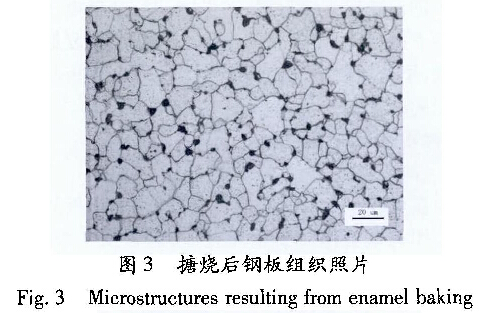 圖3搪燒后鋼板組織照片